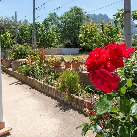 Bella Vista Con A/c Сasa de vacaciones Oliena